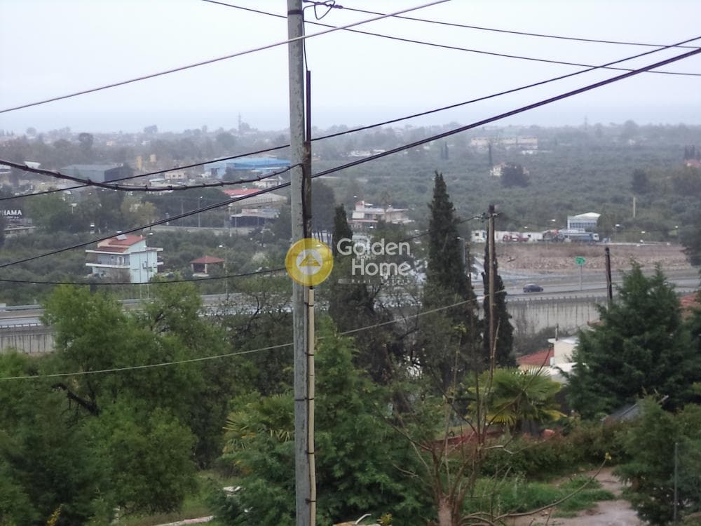 Μονοκατοικία στην Σελινούντας, Αίγιο — Φωτογραφία 10 από 19