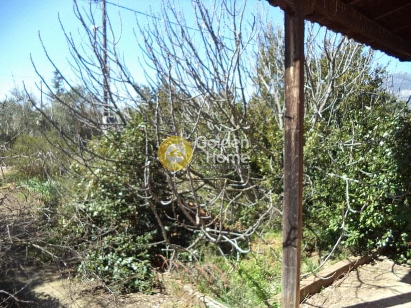 House in Megala Sxoinia A, Acharnes — Photo 7 of 9