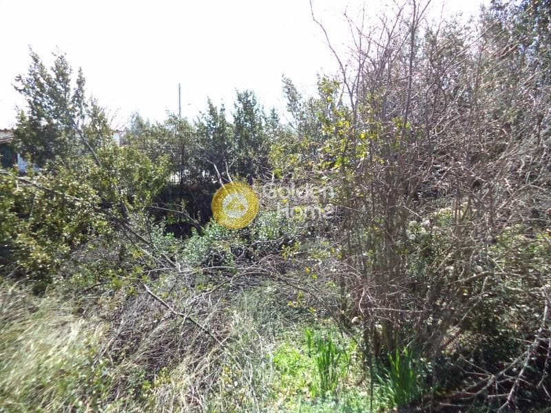 House in Megala Sxoinia A, Acharnes — Photo 8 of 9