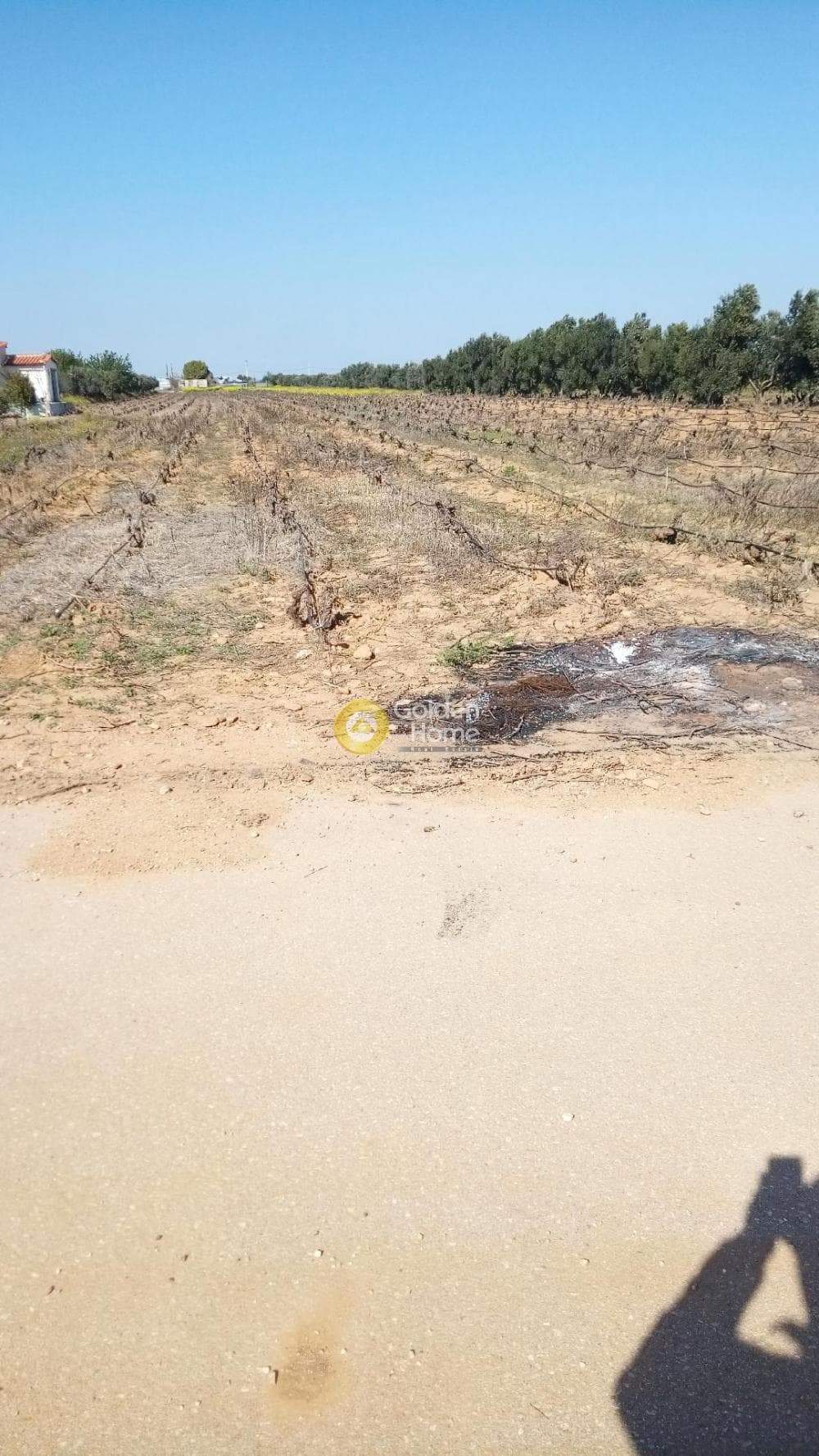 Αγροτεμάχιο στην Αγία Μαρίνα, Παιανία — Φωτογραφία 1 από 4