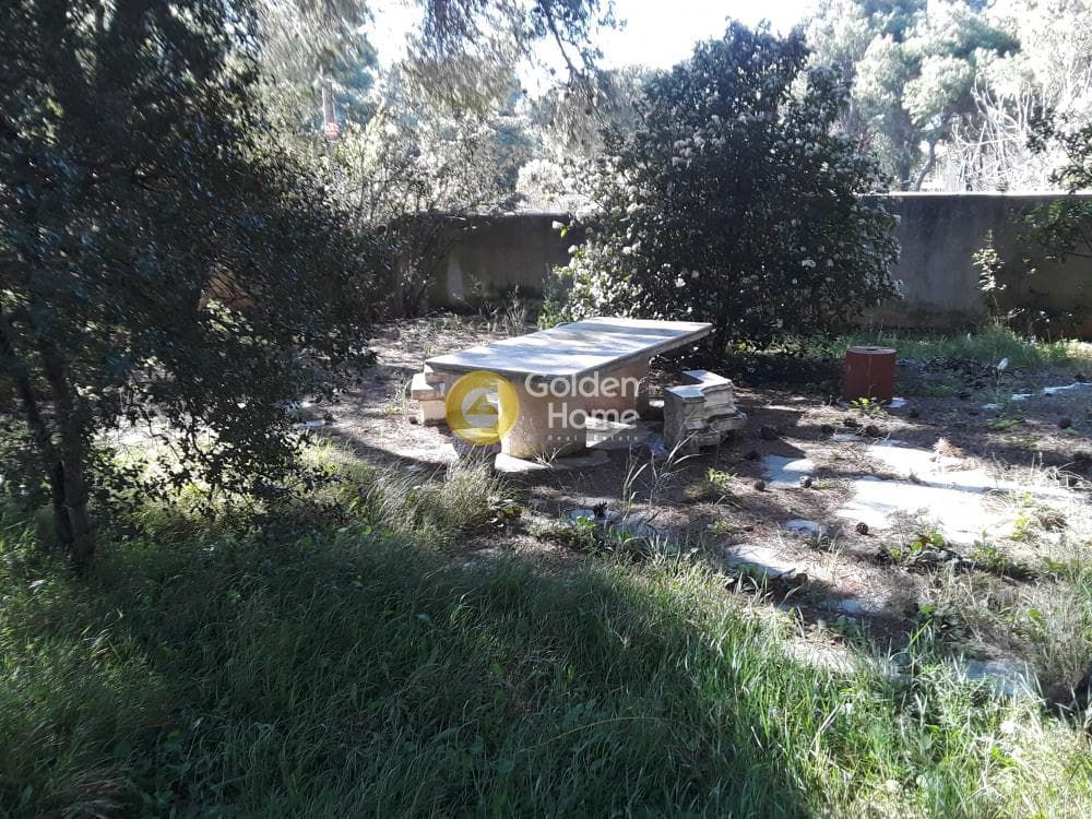Οικόπεδο στην Μεγάλα Σχοινία Α, Αχαρνές — Φωτογραφία 9 από 20