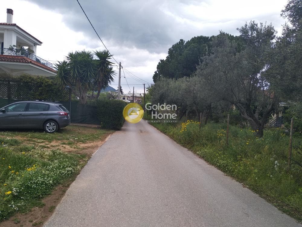 Οικόπεδο στην Ζούμπερι, Νέα Μάκρη — Φωτογραφία 3 από 14