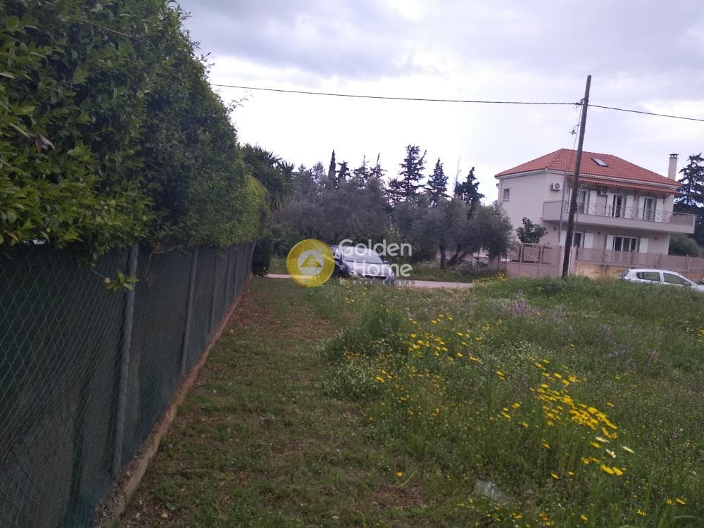 Οικόπεδο στην Ζούμπερι, Νέα Μάκρη — Φωτογραφία 6 από 14