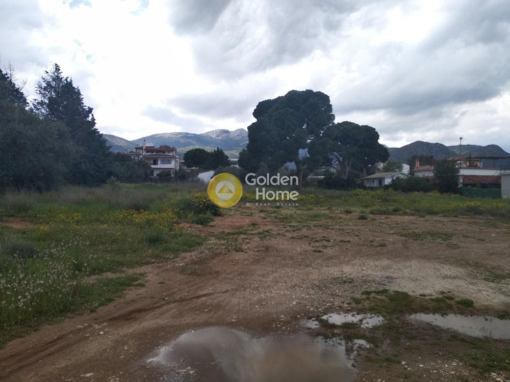 Οικόπεδο στην Ζούμπερι, Νέα Μάκρη — Φωτογραφία 10 από 14