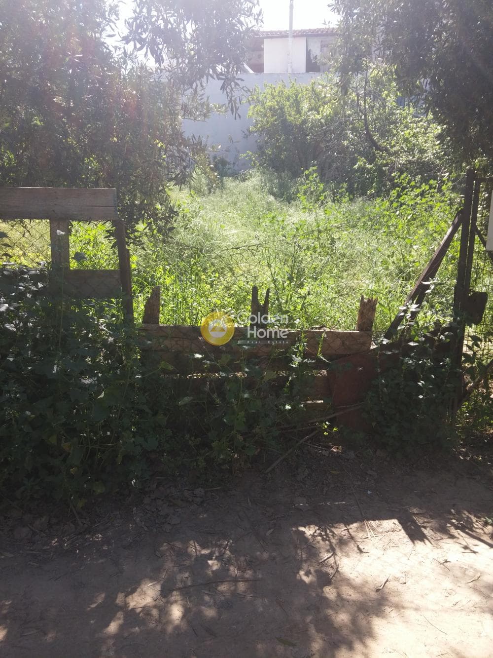 Οικόπεδο στην Πυργούθι, Αχαρνές — Φωτογραφία 1 από 7