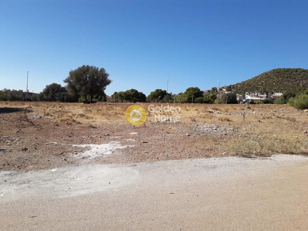 Parcel in Alikes - Lakka, Anavissos — Photo 7 of 7