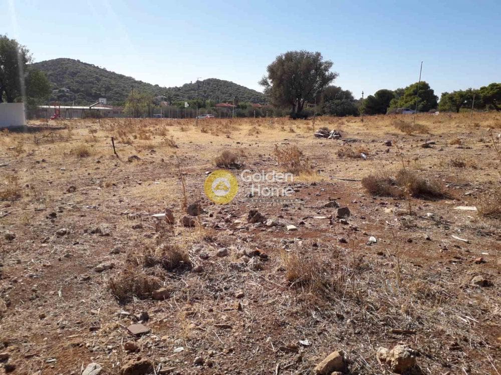 Parcel in Alikes - Lakka, Anavissos — Photo 6 of 7