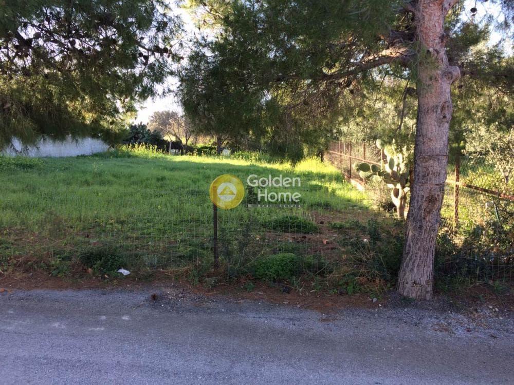 Οικόπεδο στην Μαύρο Λιθάρι, Σαρωνίδα — Φωτογραφία 2 από 7
