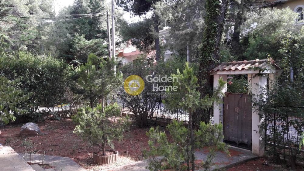 Οικόπεδο στην Δροσιά, Δροσιά — Φωτογραφία 1 από 9
