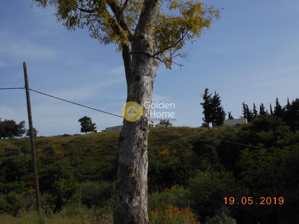 Parcel in Agia Kiriaki, Kifisia — Photo 7 of 8