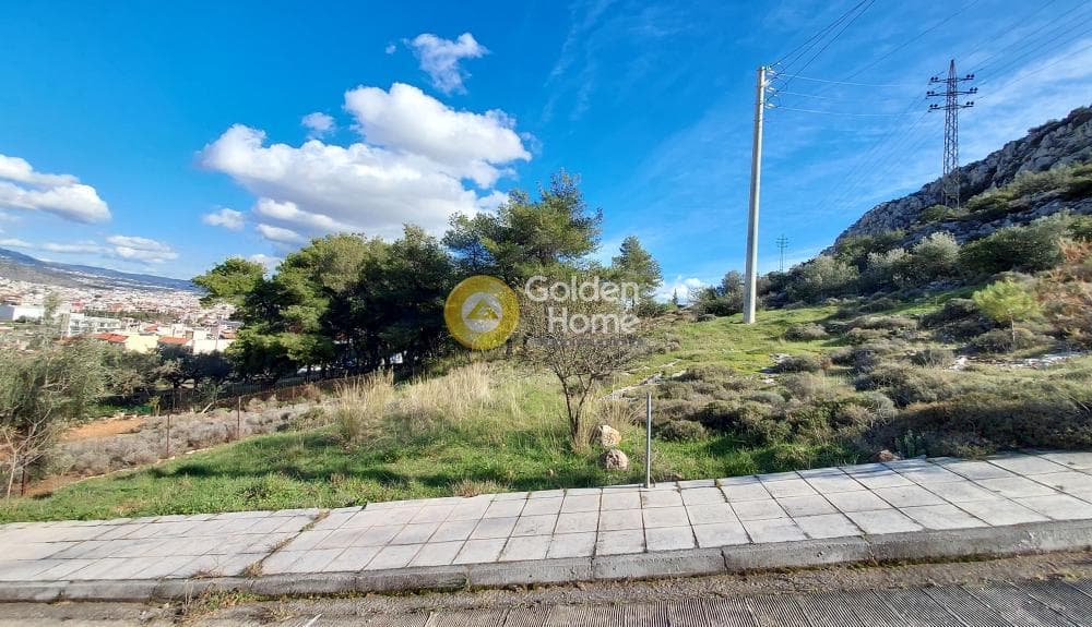 Building Plot in Zofria, Ano Liosia — Photo 4 of 15