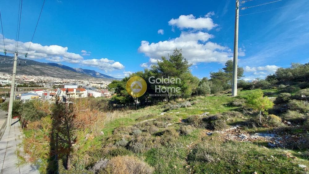 Building Plot in Zofria, Ano Liosia — Photo 5 of 15
