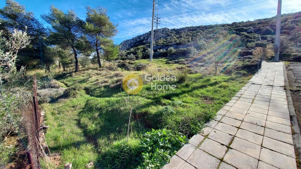 Building Plot in Zofria, Ano Liosia — Photo 10 of 15