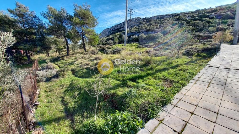 Building Plot in Zofria, Ano Liosia — Photo 11 of 15