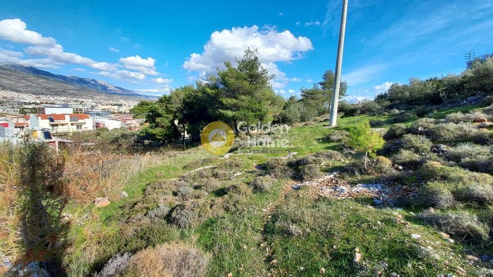 Building Plot in Zofria, Ano Liosia — Photo 12 of 15