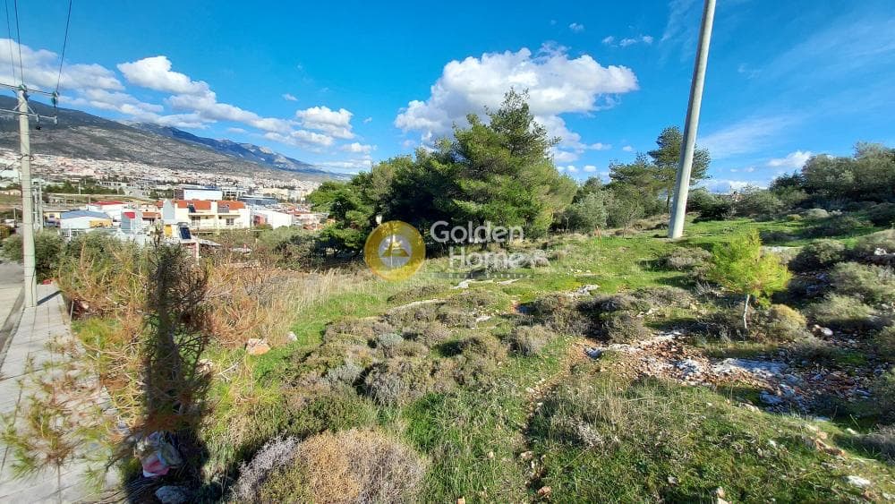 Building Plot in Zofria, Ano Liosia — Photo 13 of 15