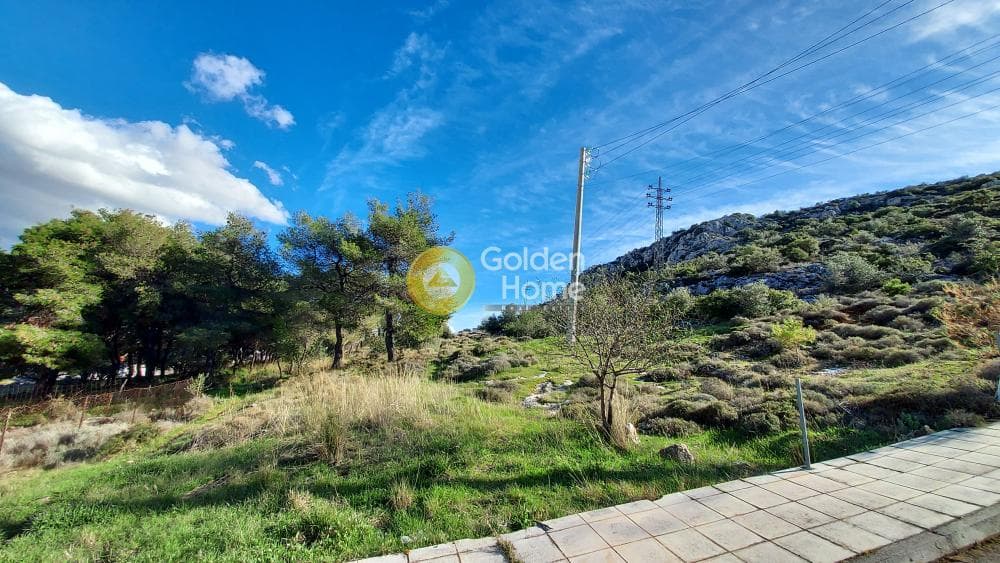Building Plot in Zofria, Ano Liosia — Photo 15 of 15