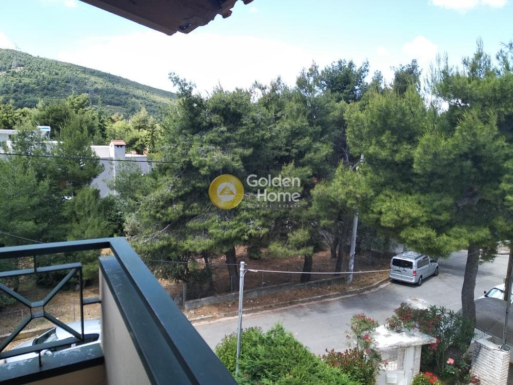 Μονοκατοικία στην Δροσιά, Δροσιά — Φωτογραφία 25 από 25