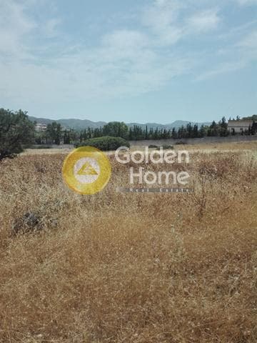 Αγροτεμάχιο στην Καλύβια, Καλύβια Θορικού — Φωτογραφία 1 από 9