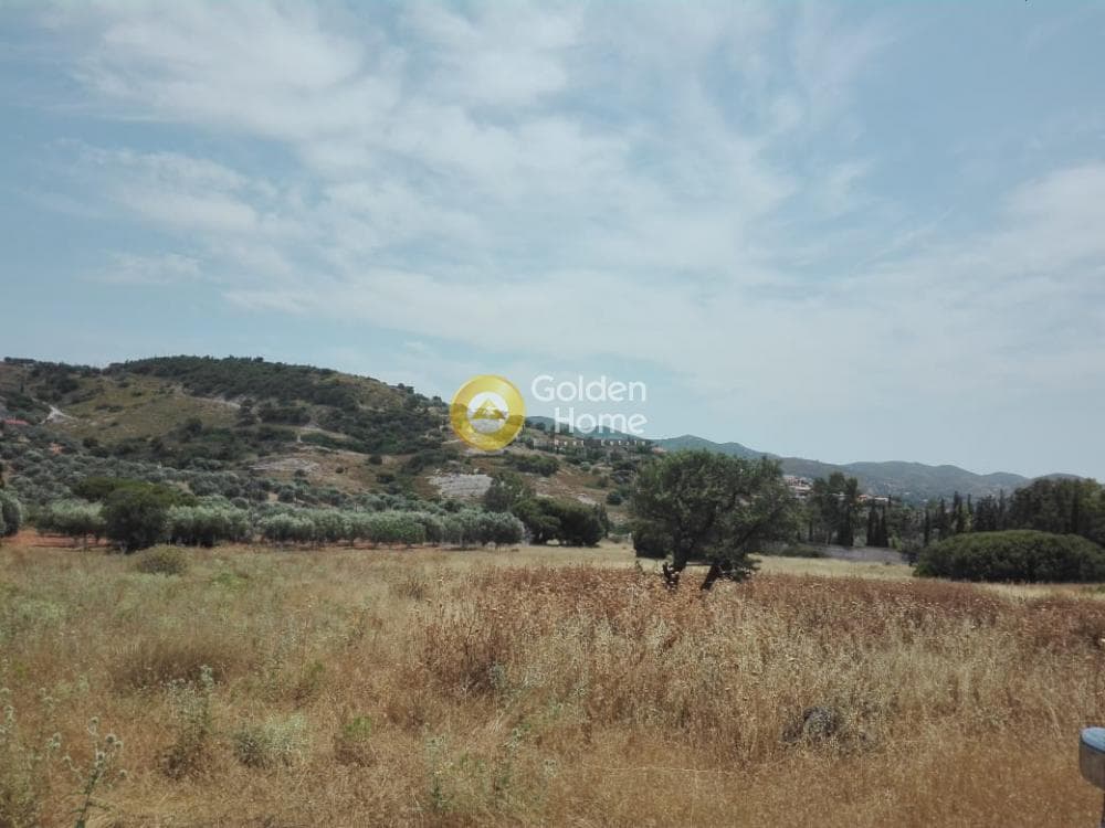 Αγροτεμάχιο στην Καλύβια, Καλύβια Θορικού — Φωτογραφία 2 από 9