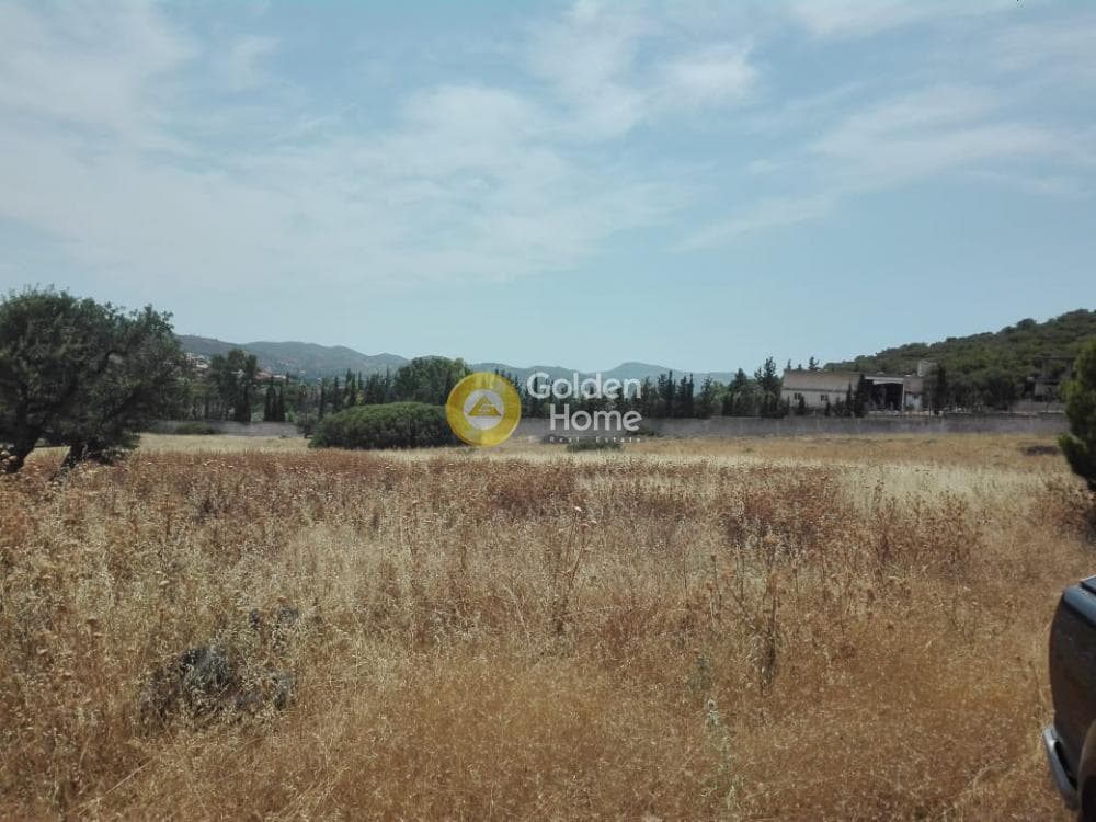 Αγροτεμάχιο στην Καλύβια, Καλύβια Θορικού — Φωτογραφία 4 από 9