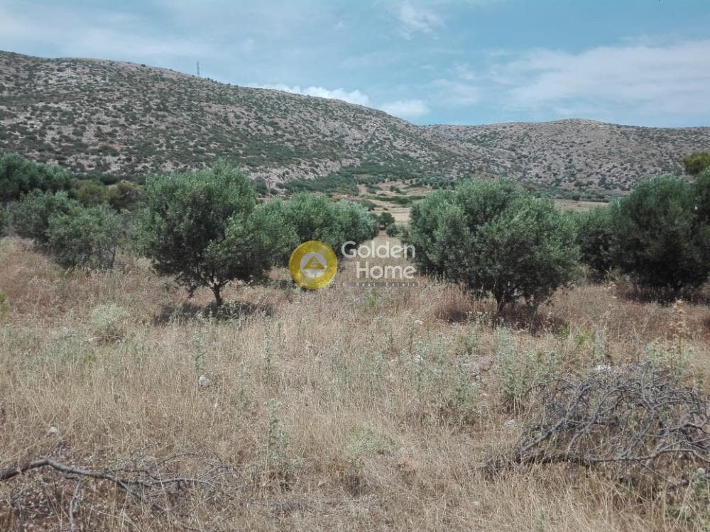 Αγροτεμάχιο στην Καλύβια, Καλύβια Θορικού — Φωτογραφία 5 από 9