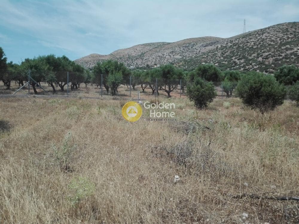 Αγροτεμάχιο στην Καλύβια, Καλύβια Θορικού — Φωτογραφία 6 από 9