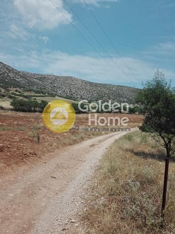 Αγροτεμάχιο στην Καλύβια, Καλύβια Θορικού — Φωτογραφία 7 από 9