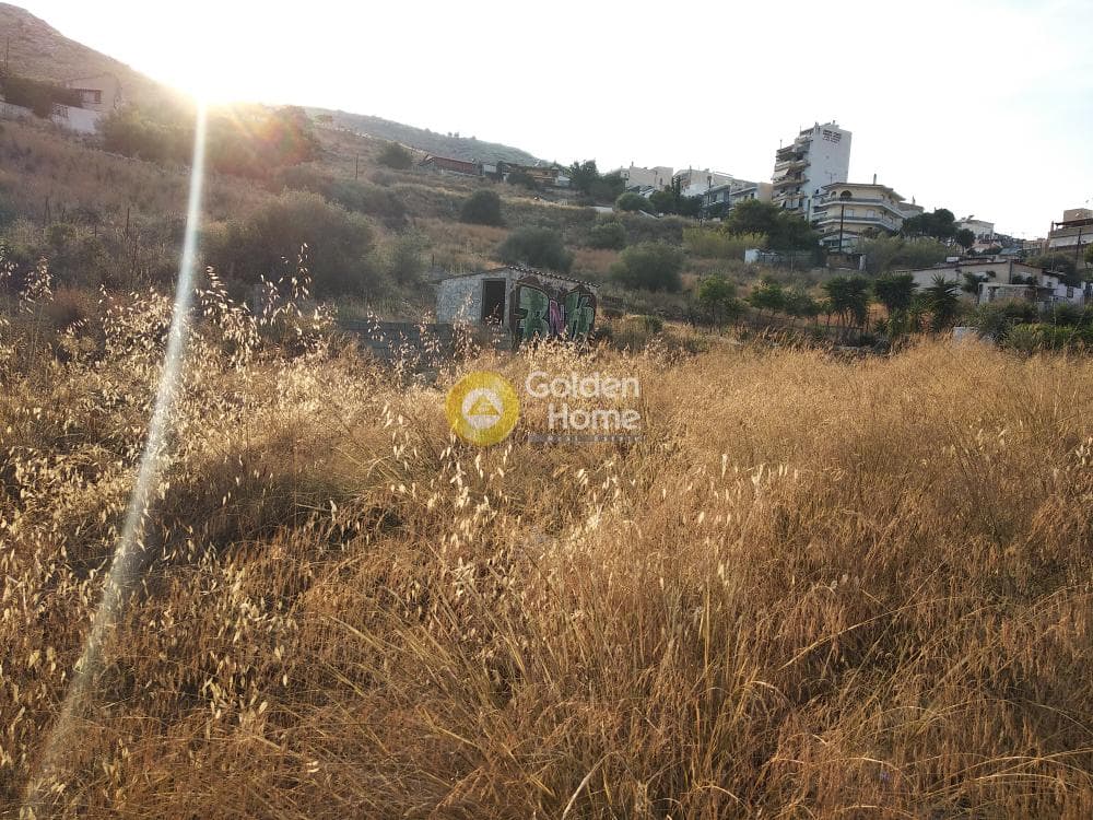 Αγροτεμάχιο στην Σχιστό Κορυδαλλού, Κορυδαλλός