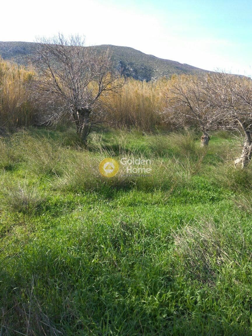 Αγροτεμάχιο στην Καρνάρι, Αρχάνες — Φωτογραφία 1 από 4