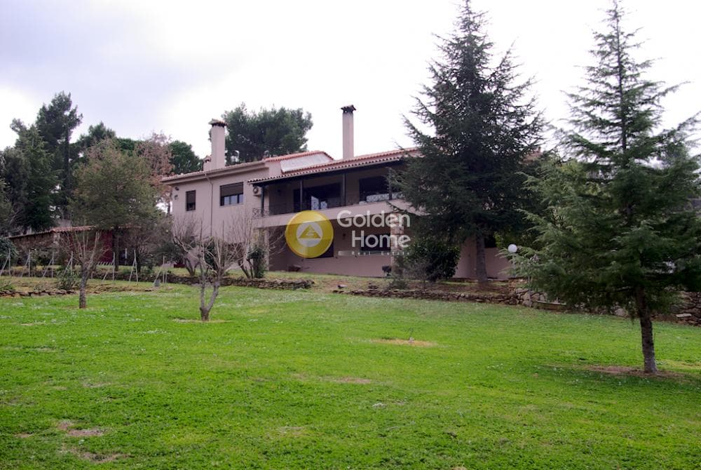 Μονοκατοικία στην Καπανδρίτι, Κ. Καπανδριτίου — Φωτογραφία 13 από 78