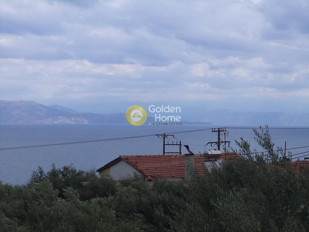 Κατάστημα στην Τράπεζα, Διακοπτό — Φωτογραφία 12 από 12