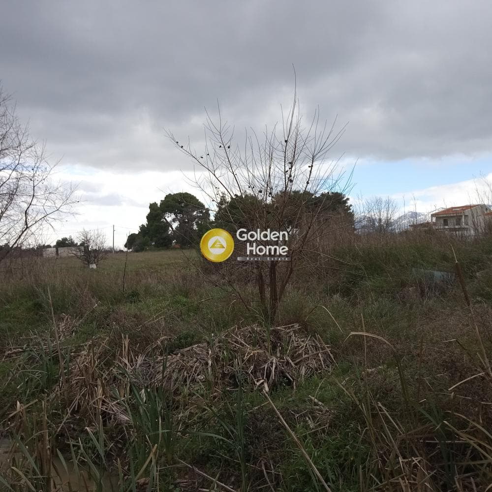 Building Plot in Anoixi, Anoixi — Photo 1 of 2