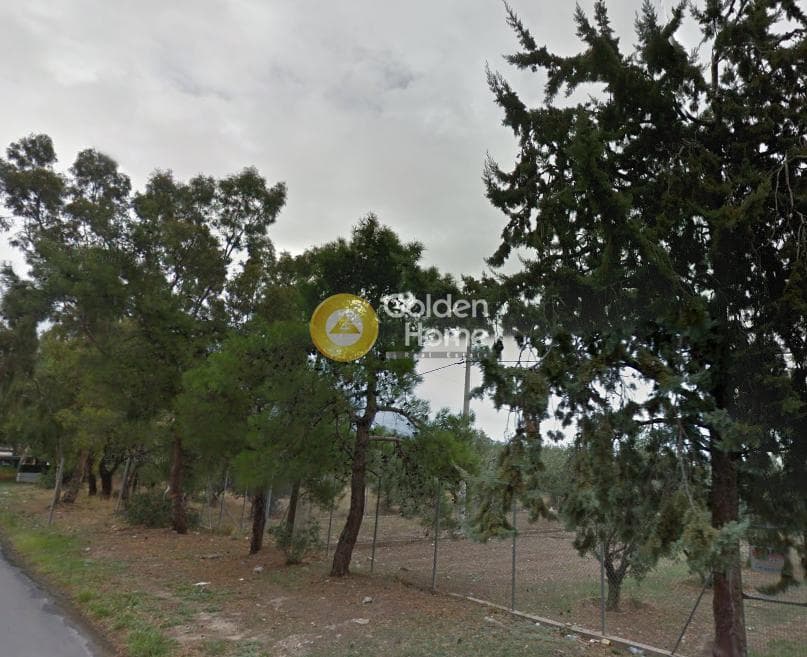 Οικόπεδο στην Αγία Παρασκευή, Ανθηδώνος
