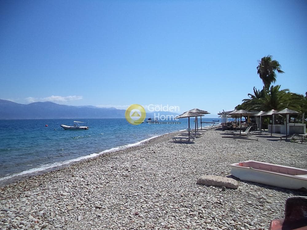 Μονοκατοικία στην Σελιανίτικα, Ερίνεο — Φωτογραφία 7 από 15