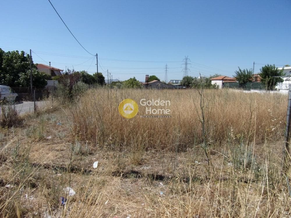 Parcel in Megala Sxoinia A, Acharnes — Photo 2 of 7