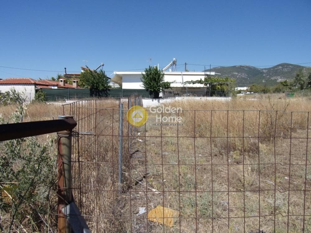 Parcel in Megala Sxoinia A, Acharnes — Photo 3 of 7