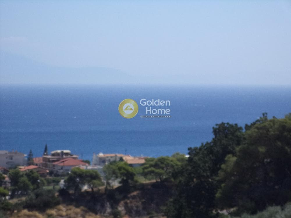 Μονοκατοικία στην Άμπελος, Ακράτα — Φωτογραφία 7 από 17