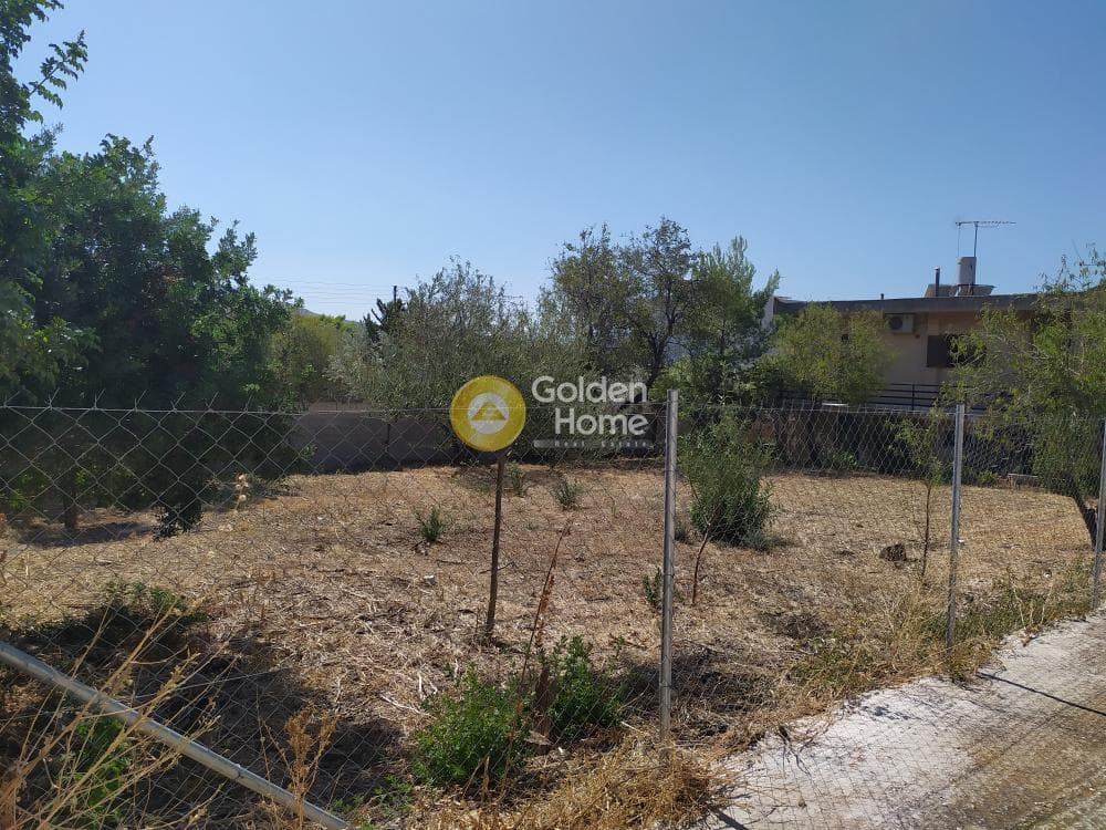 Building Plot in Kalivia, Kalivia Thorikou — Photo 4 of 7