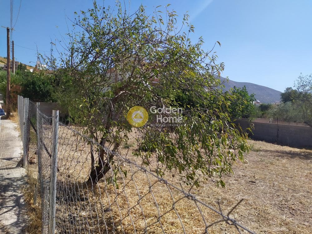 Building Plot in Kalivia, Kalivia Thorikou — Photo 6 of 7