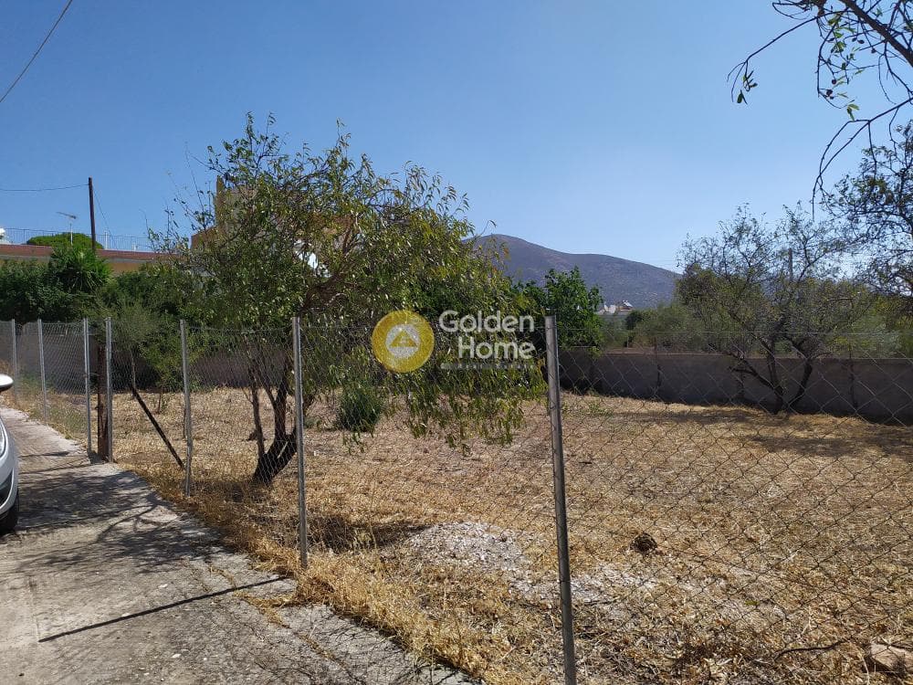 Building Plot in Kalivia, Kalivia Thorikou — Photo 7 of 7