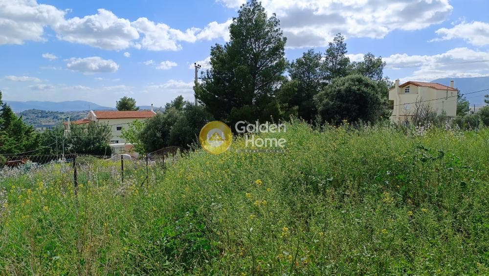 Οικόπεδο στην Νέα Παλλήνη, Παλλήνη — Φωτογραφία 1 από 7