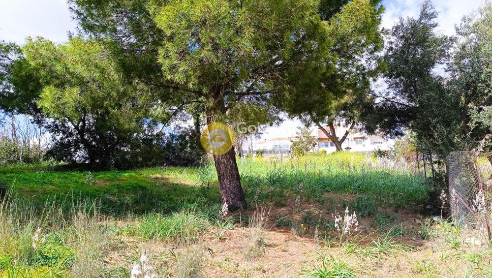 Οικόπεδο στην Νέα Παλλήνη, Παλλήνη — Φωτογραφία 5 από 7