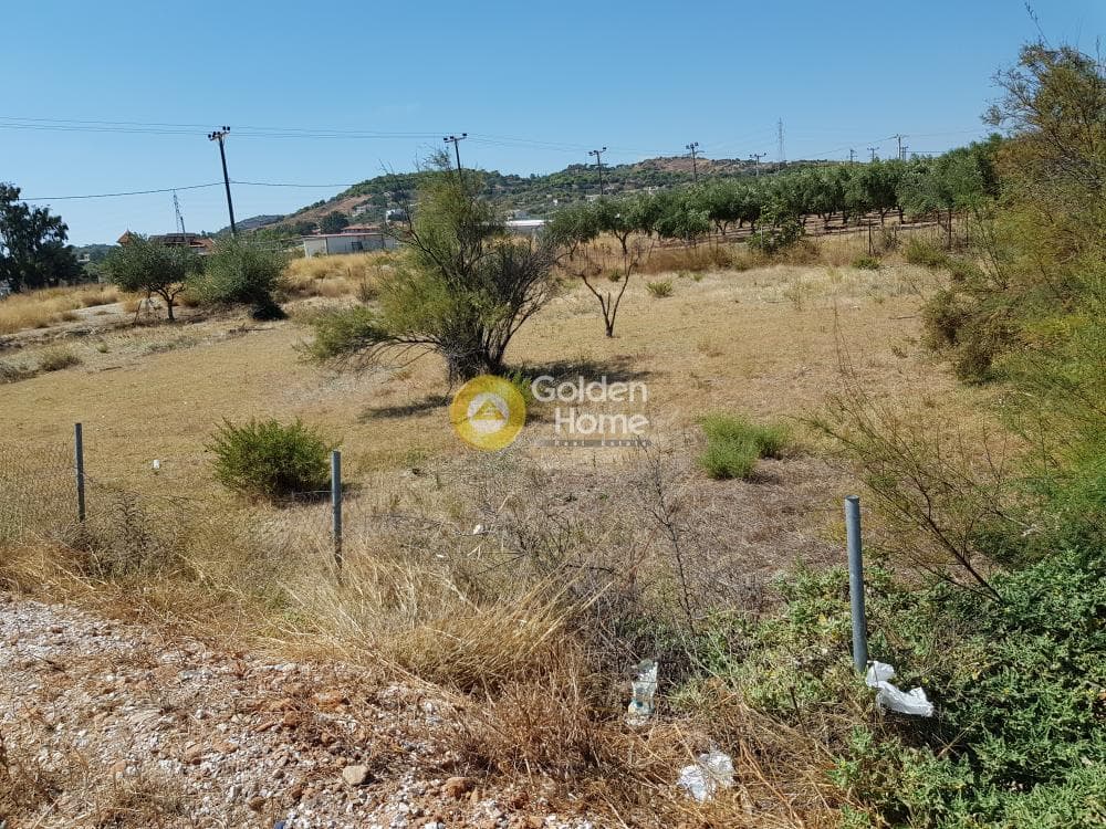 Αγροτεμάχιο στην Κεφλαίικα, Καλύβια Θορικού — Φωτογραφία 5 από 6
