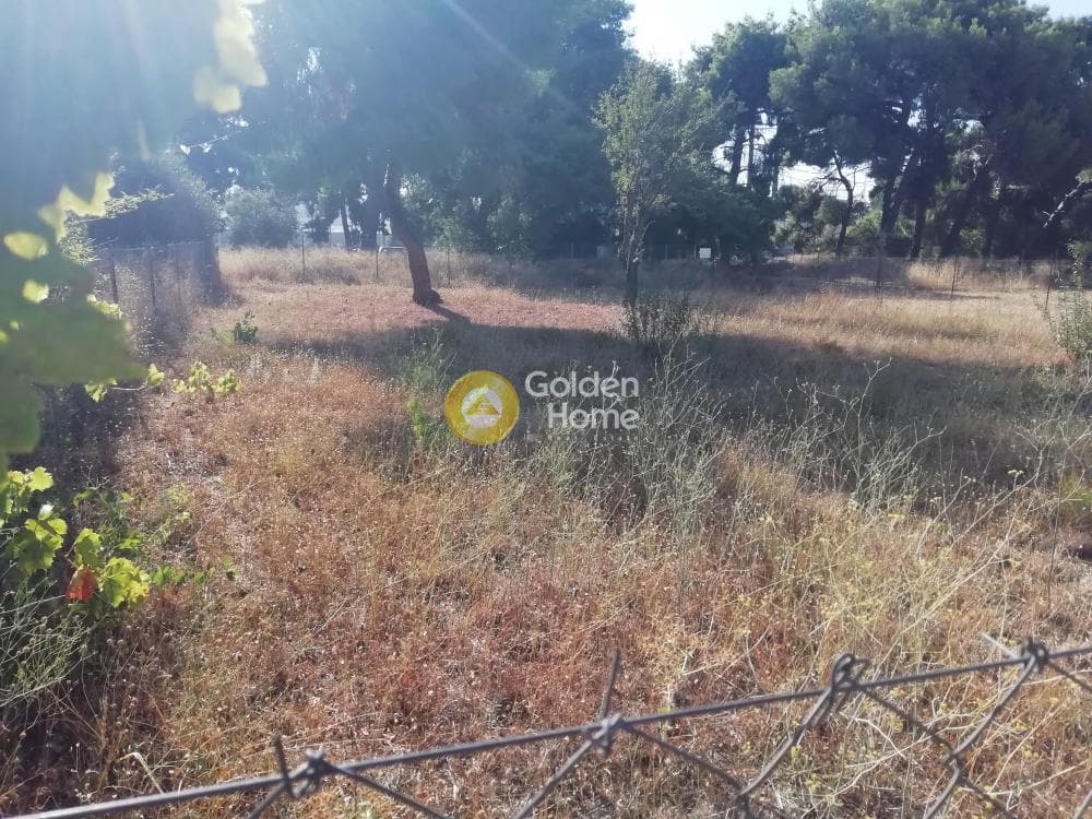 Building Plot in Adames Oikismos Grammos - Foinikas, Kifisia — Photo 1 of 4