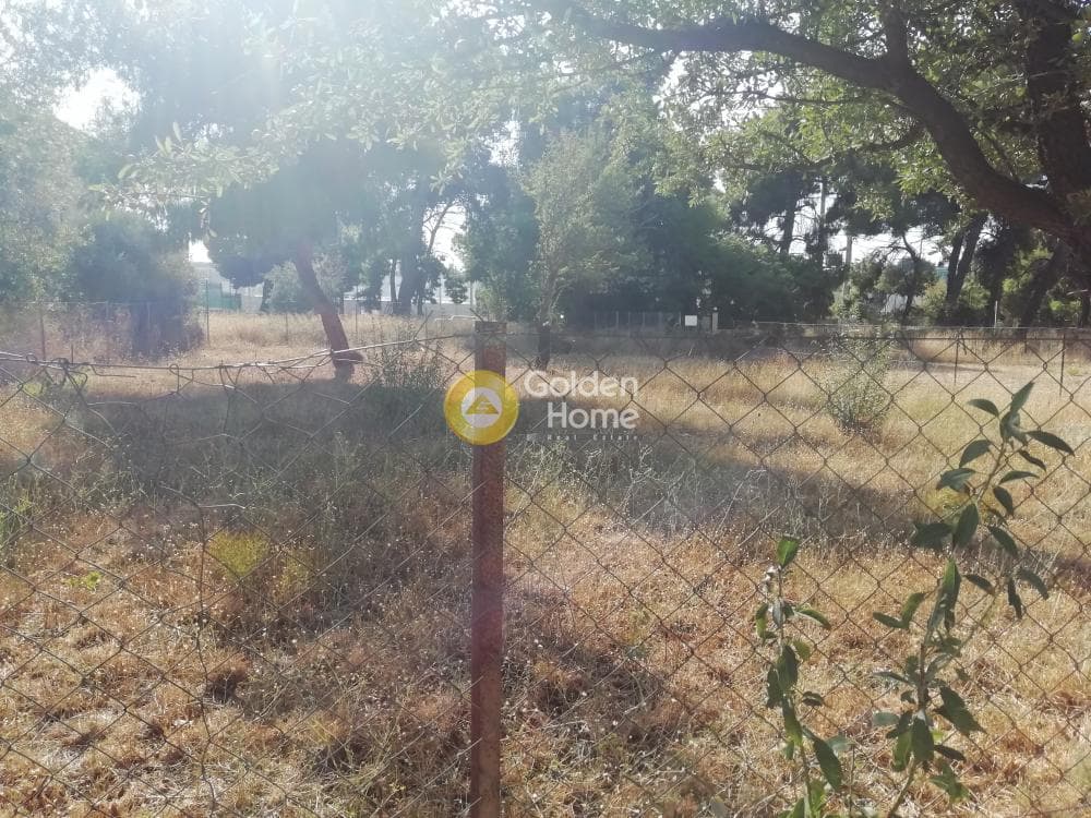 Building Plot in Adames Oikismos Grammos - Foinikas, Kifisia — Photo 2 of 4