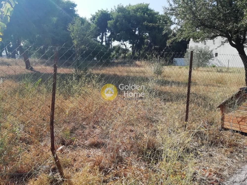 Building Plot in Adames Oikismos Grammos - Foinikas, Kifisia — Photo 3 of 4