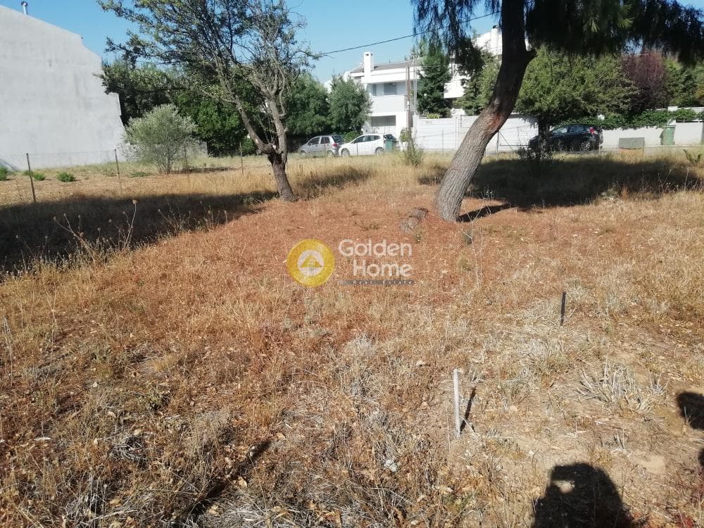 Building Plot in Adames Oikismos Grammos - Foinikas, Kifisia — Photo 4 of 4