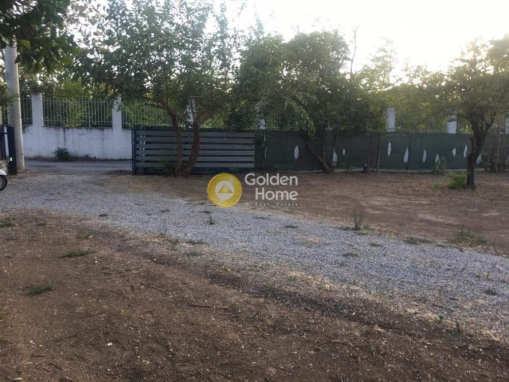 Αγροτεμάχιο στην Κέντρο, Μεταμόρφωση — Φωτογραφία 6 από 24