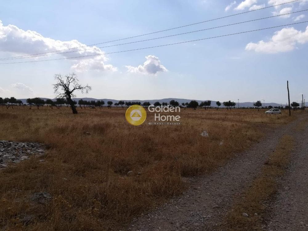 Αγροτεμάχιο στην Κέντρο, Ασπρόπυργος — Φωτογραφία 1 από 2